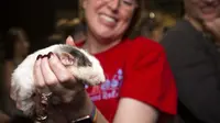 Salah satu pengunjung memegang tikus bernama Emory di The Rat Cafe, San Francisco (AFP)