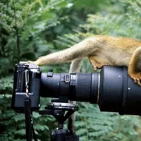 Foto selfie extrim yang mungkin belum belum pernah kamu lakukan.