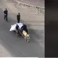 Beredar Video Kondisi Miris di Palestina, Jenazah Dibawa ke Pemakaman dengan Gerobak Keledai.&nbsp; foto: TikTok @ahmed_shorafa