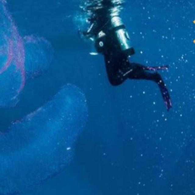 Ini 5 Monster Laut Paling Aneh Yang Ditemukan Pada 2017 Global Liputan6 Com