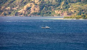 Menjangkau Layanan Keuangan di Alor, Kisah BRILink Agen Menembus Tantangan Kepulauan