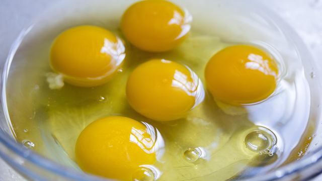 Kuning Telur Ayam Kampung Rendah Kolestrol