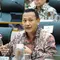 Wakil Menteri Kehutanan (Wamenhut) Rohmat Marzuki. (Antara)