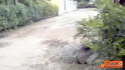 Jalan Desa yang Tidak Pernah di Aspal