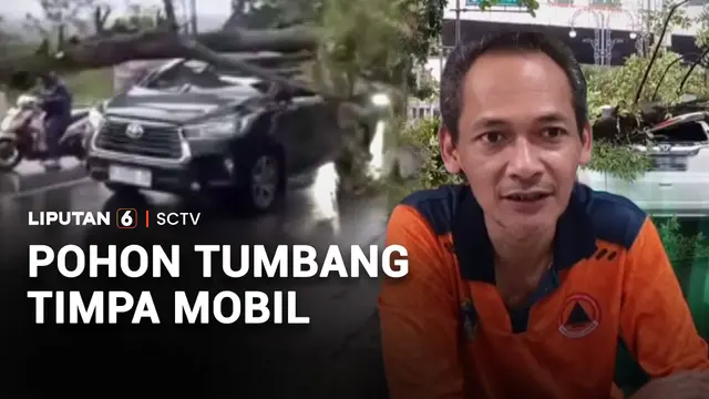 Angin Kencang Tumbangkan Pohon dan Rusak Fasilitas Umum