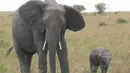 short desc