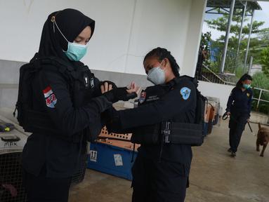 Pelatih K9 wanita Putri Istyan (kiri) bersama rekannya Widiya Hutahean (tengah) dan Nina Herlina (kanan) mempersiapkan  untuk latihan  di Markas Komando K9 BNN, Selasa (8/3/2022). (merdeka.com/Imam Buhori)