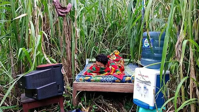 6 Momen Rebahan Santai di Sawah Ini Curi Perhatian, Kocak