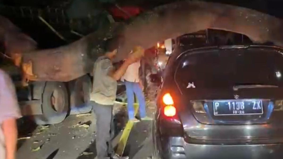 Detik-Detik Pohon Raksasa Tumbang Timpa Truk di Pantura Situbondo