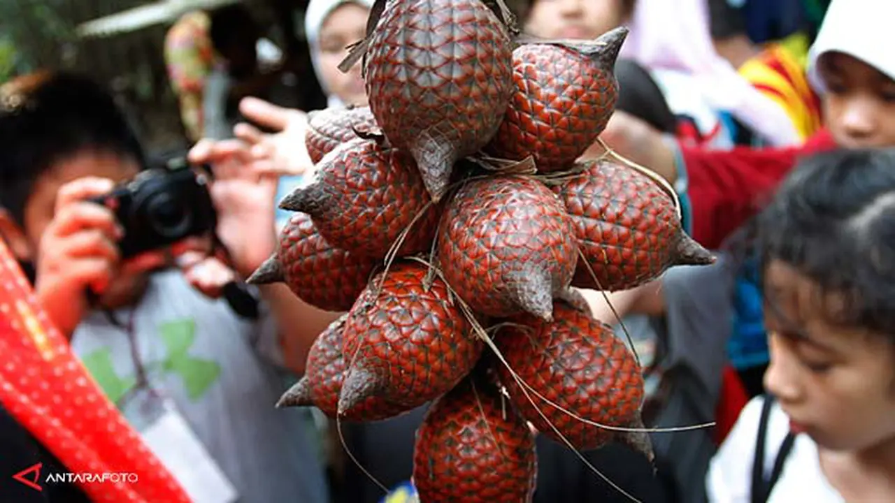 taman-buah-mekarsari-130727b.jpg
