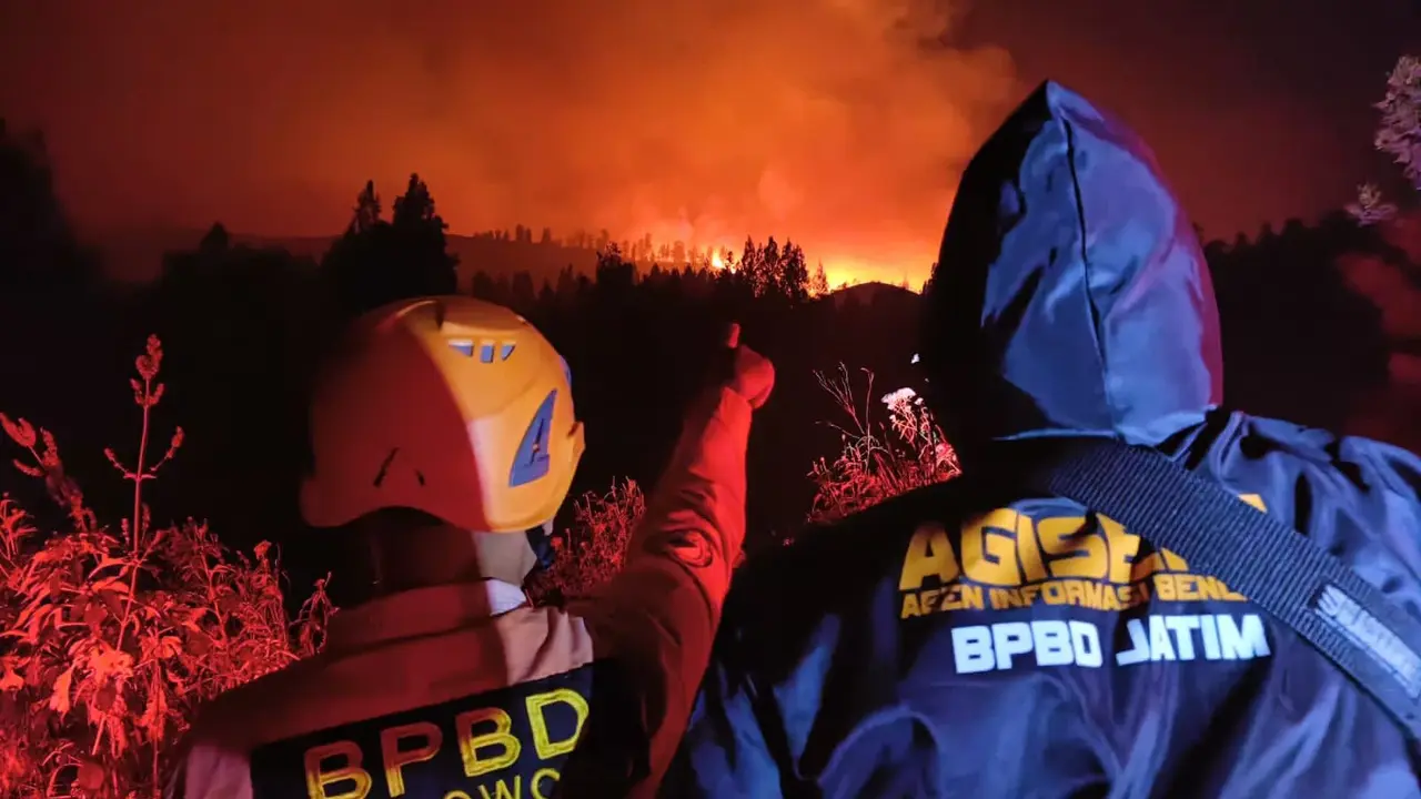 10 Hektare lahan dan hutan  di Pegunungan Ijen Bondowoso terbakar (Istimewa)