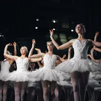 Ilustrasi Seni tari Credit: pexels.com/Michael