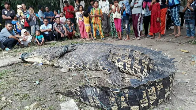 Konflik manusia dengan buaya