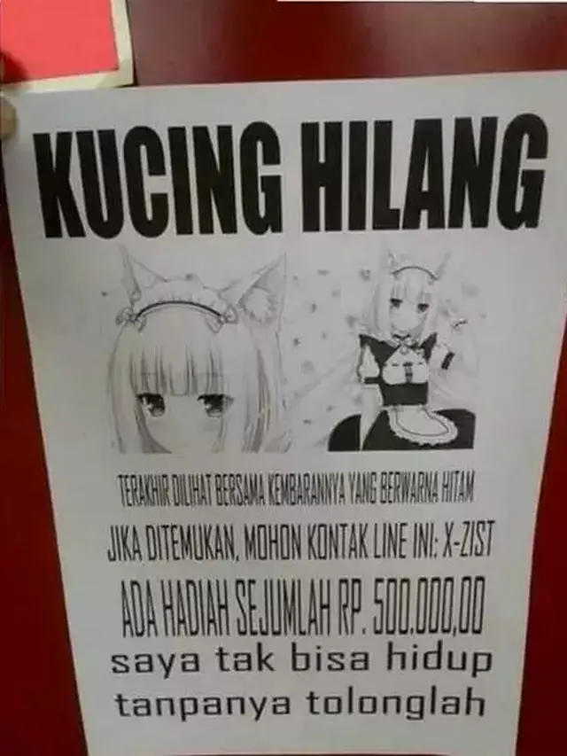 6 Gambar Nyeleneh di Selebaran Pengumuman Kucing Hilang Ini Kocak