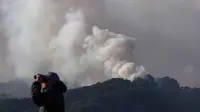 Kebakaran Hutan di Jepang Utara Meluas, 1.400 Petugas Pemadam Dikerahkan