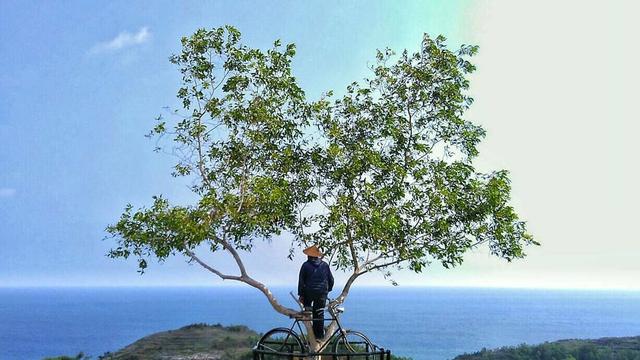 [Bintang] Yogyakarta