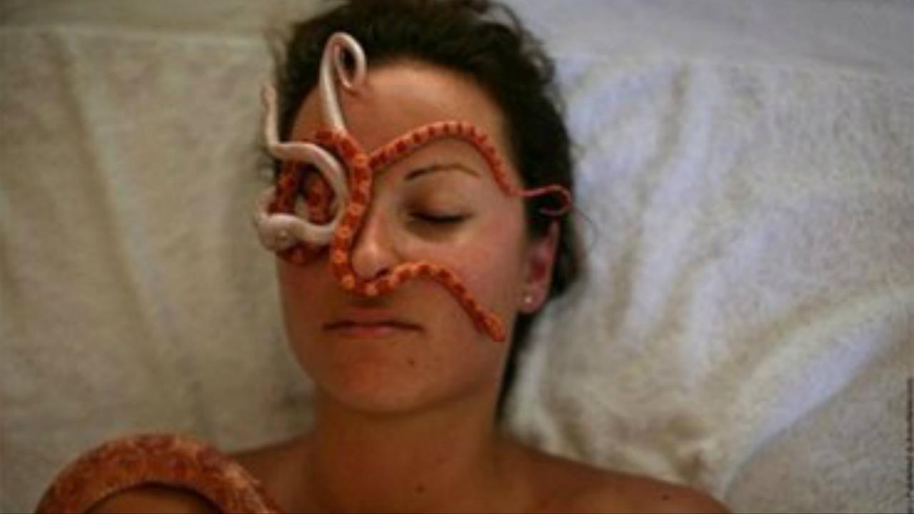 Sensasi Menegangkan Pijat Wajah dengan Ular