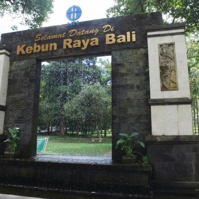 Pemerintah Lanjutkan Penataan 12 Kebun Raya Bisnis Liputan6 Com