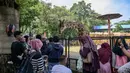 Pengunjung dapat berinteraksi langsung dengan satwa, mulai dari berfoto dengan kuda poni, memberi makan hewan reptil, hingga menikmati panggung hiburan dan kesenian tradisional. Tampak dalam foto, pengunjung mengamati koleksi jerapah di Kebun Binatang Surabaya, Jawa Timur, selama libur sekolah sekaligus jelang Natal dan Tahun Baru pada Minggu 21 Desember 2025. (JUNI KRISWANTO/AFP)