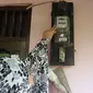 Warga memeriksa meteran listrik di kawasan Matraman, Jakarta, Kamis (2/4/2020). Di tengah pandemi COVID-19, pemerintah menggratiskan biaya tarif listrik bagi konsumen 450 Volt Ampere (VA) dan pemberian keringanan tagihan 50 persen kepada konsumen bersubsidi 900 VA. (Liputan6.com/Herman Zakharia)