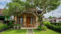 8 Model Rumah dengan Teras Mini dan 1 Pohon Rindang, Tren Hunian Asri 2026