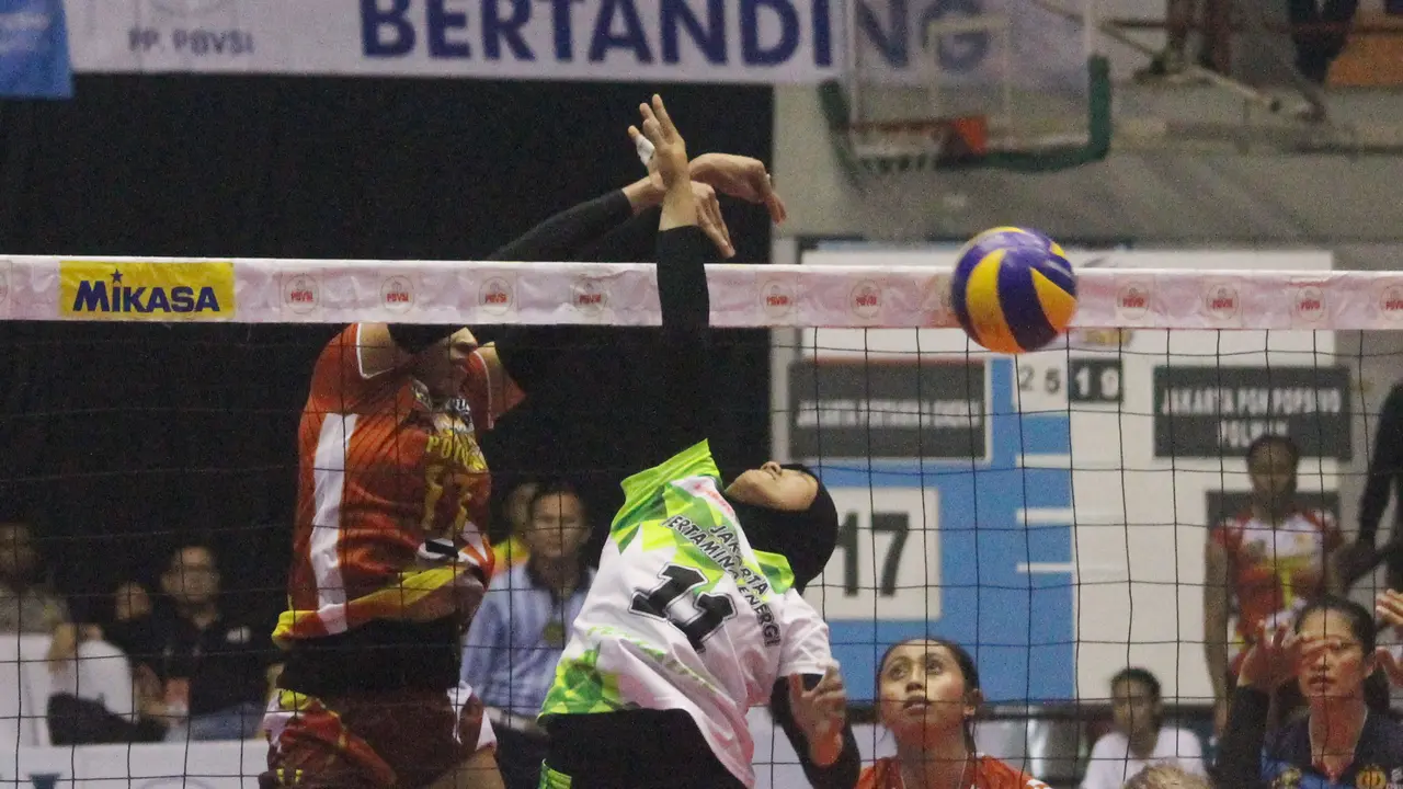 Proliga 2017