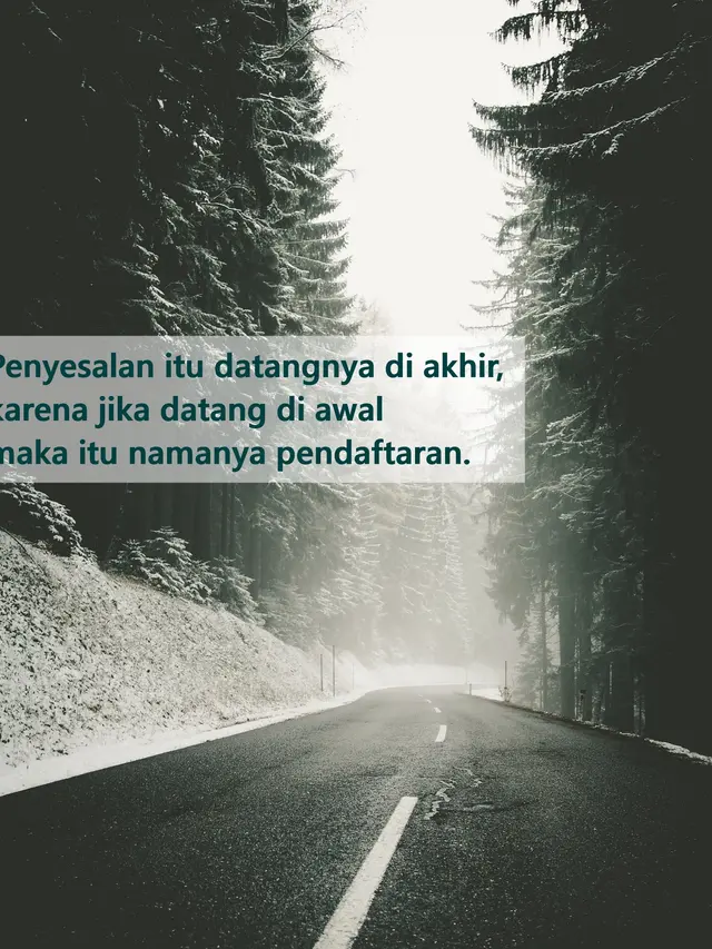 Wallpaper lucu  (sumber: Pixabay)