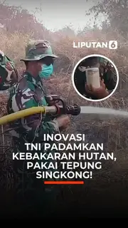 Inovasi TNI Padamkan Kebakaran Hutan, Pakai Tepung Singkong!
