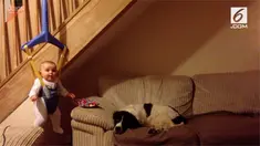 Seperti di film "Mission Impossible", seorang bayi beraksi dengan mencuri hadiah natal milik anjing peliharaannya.