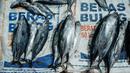 Kelangkaan yang berimbas pada kenaikan harga ikan di Banda Aceh juga dipengaruhi tidak melautnya nelayan untuk memperingati 20 tahun bencana tsunami. (Yasuyoshi CHIBA/AFP)