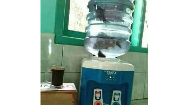 6 Potret Nyeleneh Taruh Makanan di Tempat Tak Semestinya