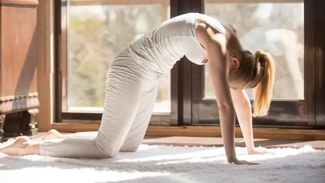 Ilustrasi pose Marjaryasana (Pose Kucing) /freepik.com/yanalya