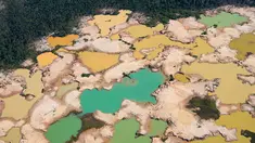 Pandangan udara kawasan Hutan Amazon yang terdeforestasi (penurunan luas area hutan secara kualitas dan kuantitas) di wilayah Sungai Madre de Dios, Peru, Jumat (17/5/2019). Hutan Amazon mengalami deforestasi akibat kegiatan penambangan ilegal. (CRIS BOURONCLE/AFP)