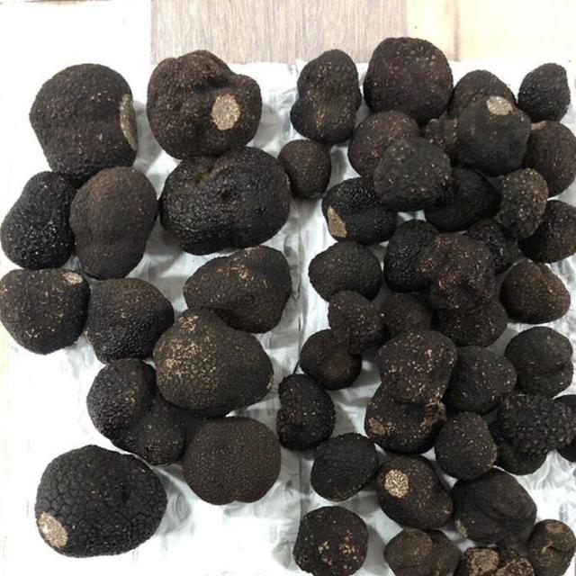Black Truffle