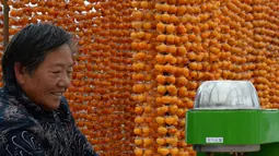 Seorang petani mengolah buah kesemek yang segar untuk dijadikan kudapan kering di Desa Maquangou di Wilayah Pinglu, Provinsi Shanxi, China utara, pada 27 Oktober 2020. (Xinhua/Ma Yimin)