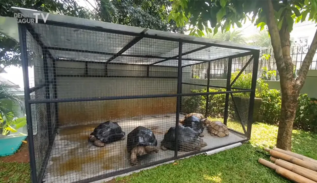 Potret Rumah Mewah Atta Halilintar (Youtube/DENNY CAGUR TV)