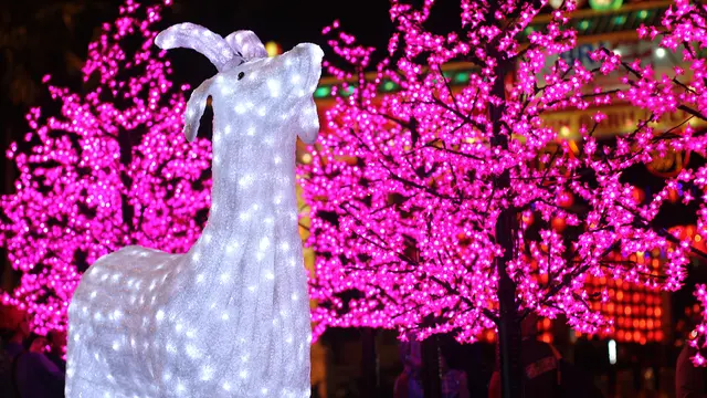 Jelang Imlek, Ribuan Lampion Percantik Tampilan Kota Solo