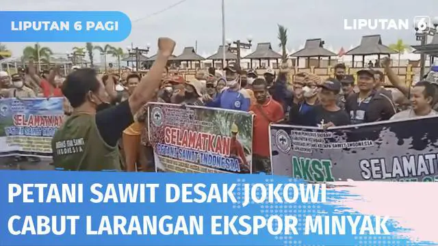 Harganya terus anjlok, petani sawit di Kotabaru, Kalimantan Selatan, melakukan demo di depan Kantor Bupati. Mereka menuntut Presiden Jokowi mencabut larangan ekspor minyak goreng yang dianggap jadi pemicu murahnya harga sawit.