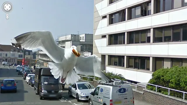 Hewan di Google Street View (Sumber:Boredpanda)