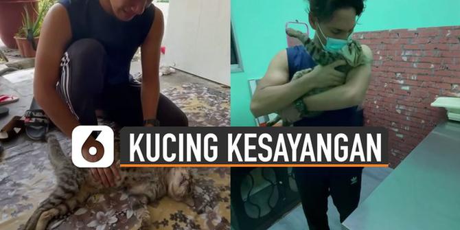 VIDEO: Haru, Pria Menangis Histeris Saat Kucing Kesayangannya Mati