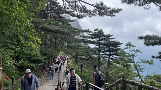 Pesona Kota Huangshan, dari Puncak Gunung hingga Desa Kuno Hongcun Warisan UNESCO