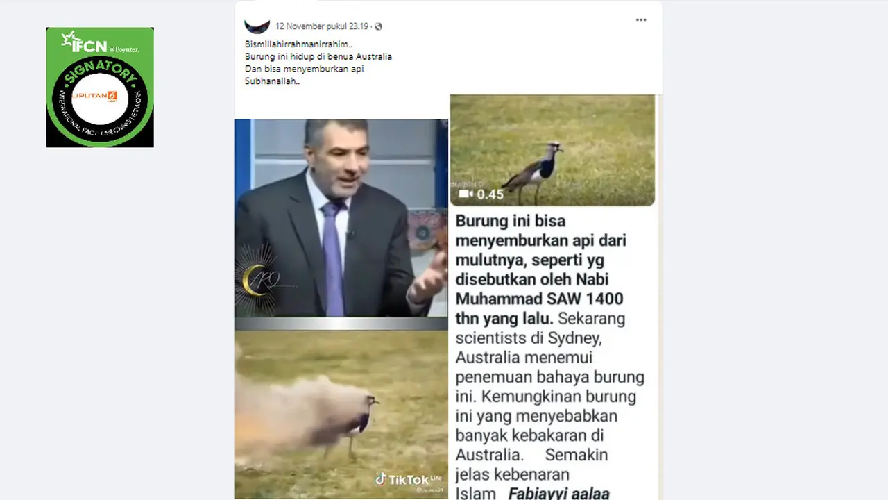 Cek Fakta Liputan6.com menelusuri klaim video burung penyembur api penyebab kebakaran hutan Australia