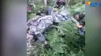 Polisi hanya mengamankan barang bukti seratus batang tanaman ganja dan satu karung ganja kering siap edar.
