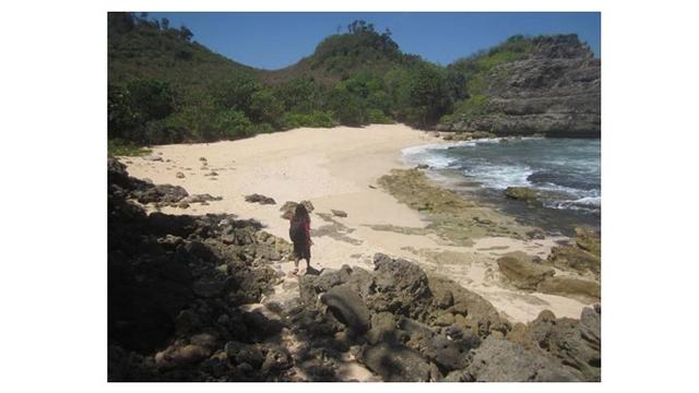 Suka Memancing Ini 5 Pantai Untuk Berburu Ikan Di Malang