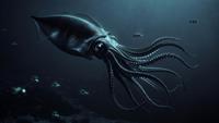 Giant Squid Detected in Western Australian Waters After 25 Years Using eDNA Technology