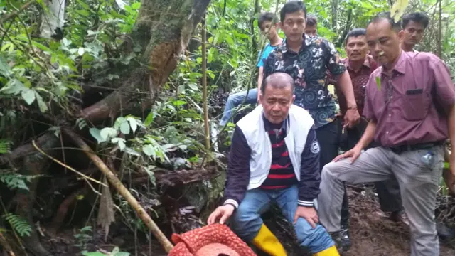 Wakil Gubernur Sumbar, Nasrul Abit ketika melihat bunga Raflesia di Agam. (Foto: Liputan6.com/ Novia Harlina)
