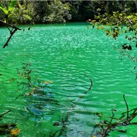 Tak hanya Raja Ampat, bumi Papua punya keajaiban lain yang siap dibagi untuk dunia.