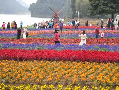 Sejumlah wisatawan menikmati suasana di antara bunga-bunga di Taman Hutan Nasional Shimen, Guangzhou, Provinsi Guangdong, China, 26 Desember 2020. (Xinhua/Deng Hua)