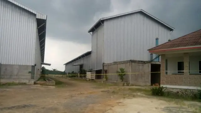 Pinang Jambi