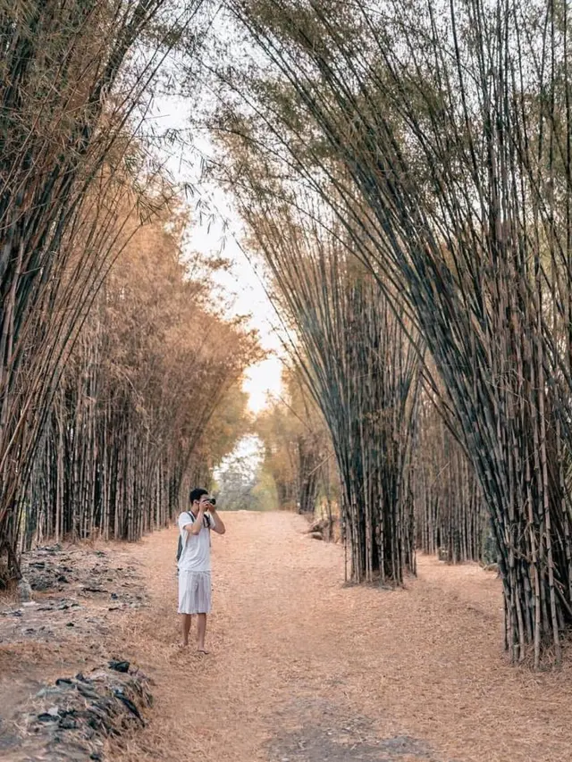 Hutan Bambu (Sumber: Explore Surabaya/Instagram)